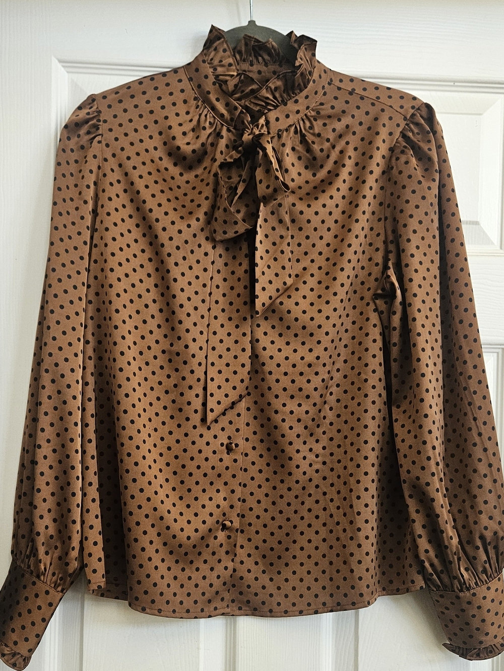 Brown Polka Dot Bow-Neck Blouse - Women SIZE S